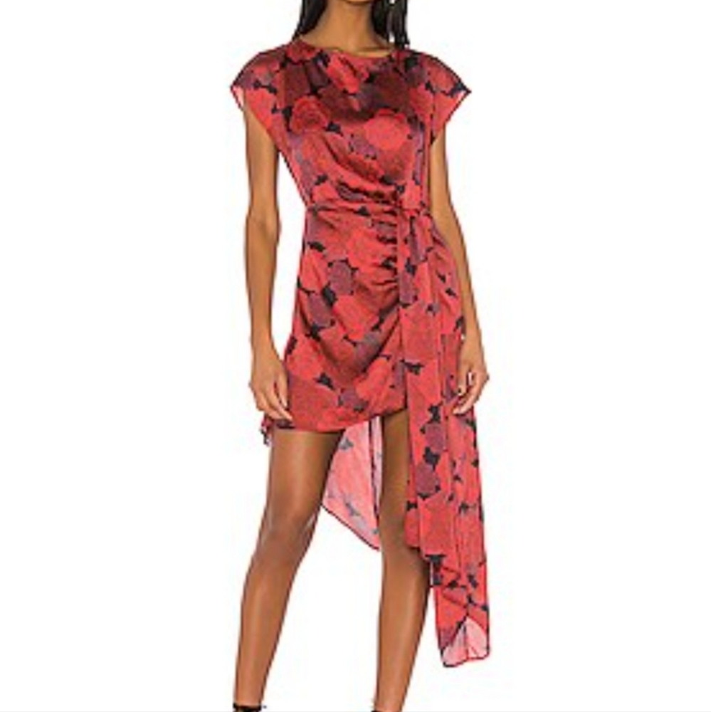 L'Academie The Elaina Mini Dress from Revolve